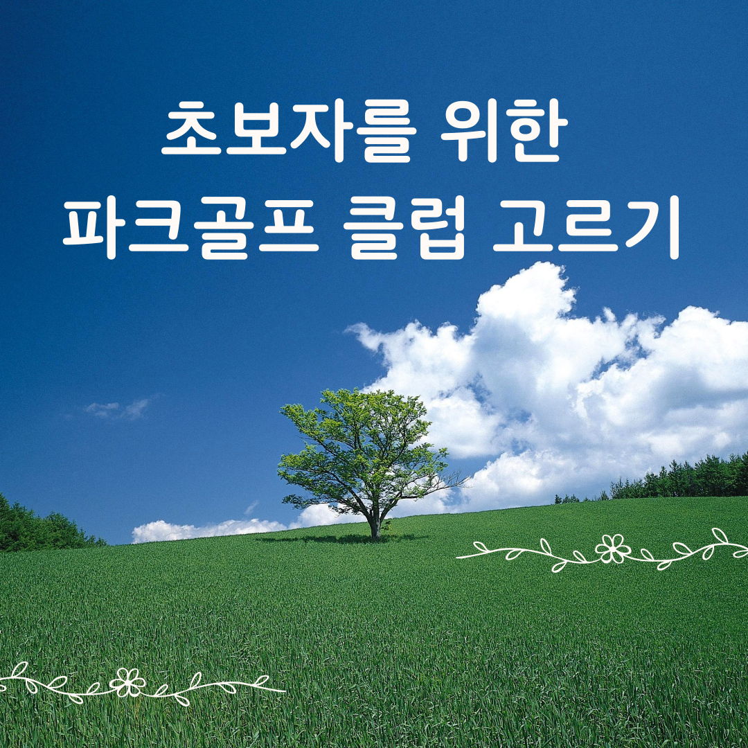 초보자와 입문자를 위한 파크골프 클럽 추천